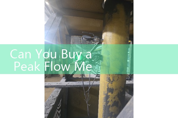 Can You Buy a Peak Flow Meter Over the Counter: Pharmacy Sourcing Guidelines